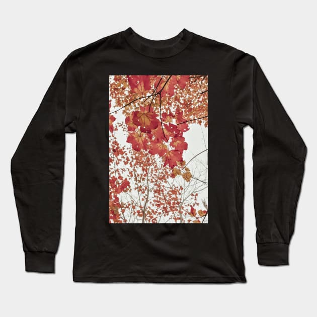 Scarlet x autumn leaf photograph Long Sleeve T-Shirt by oliviastclaire